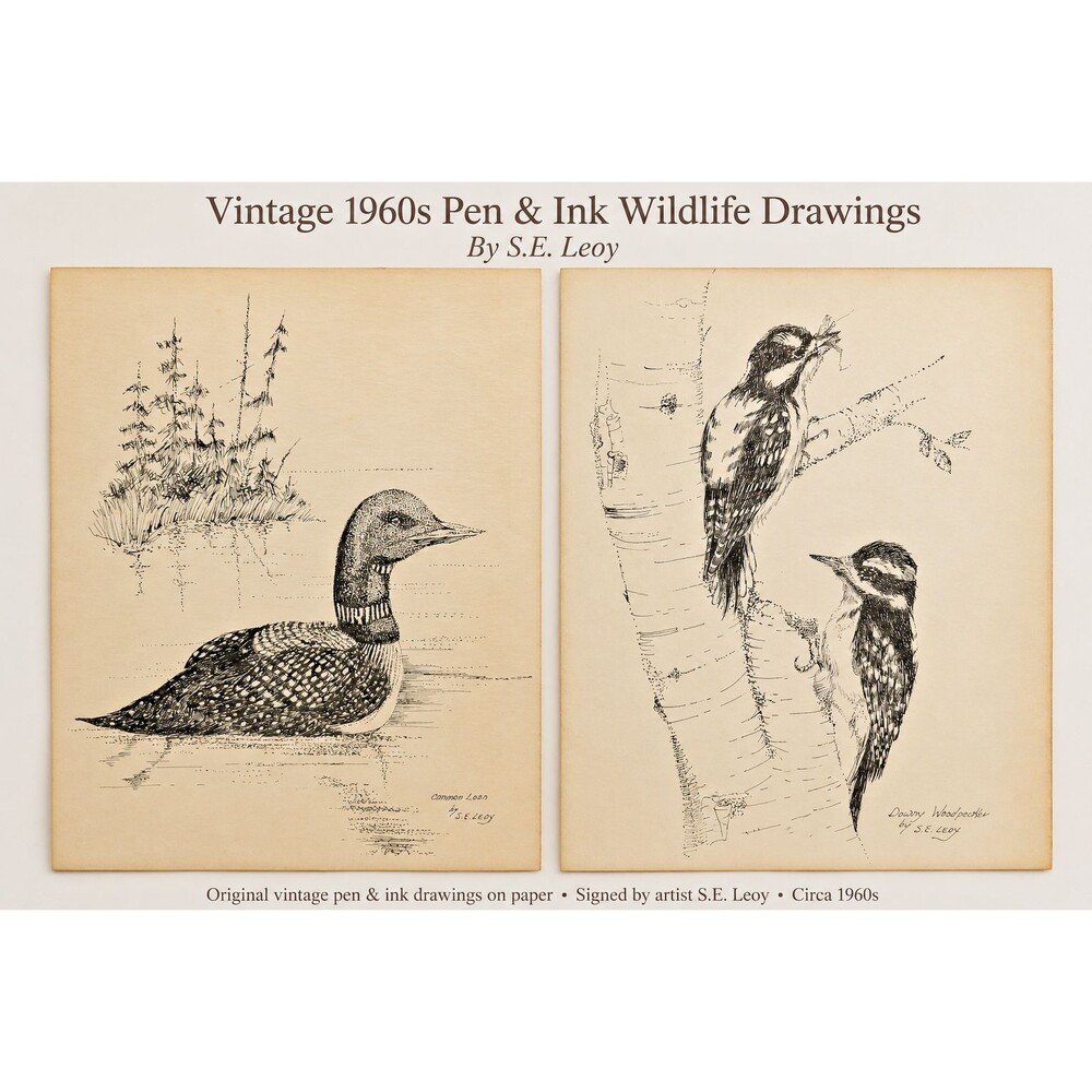 Vintage S E Ledy Pen & Ink Art Prints Pair Common Loon Woodpecker Wall Decor Set